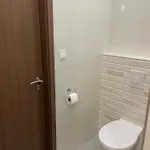 Kovács * Kiskunhalas